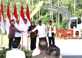 Presiden Jokowi Widodo