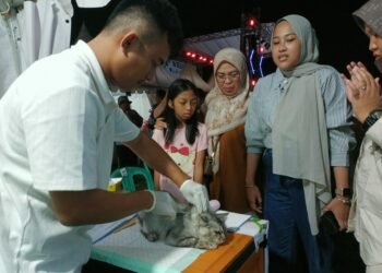 Proses Vaksinasi Hewan Peliharaan