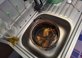 Kondisi ikan setelah masak karena lupa matikan kompor