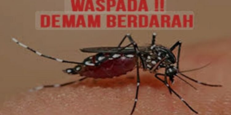 Ilustrasi DBD (Dok: Internet)
