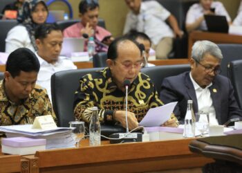 Ketua Komite I DPD RI, Andi Sofyan Hasdam