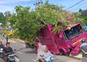 Tangkapan layar truk menabrak pohon