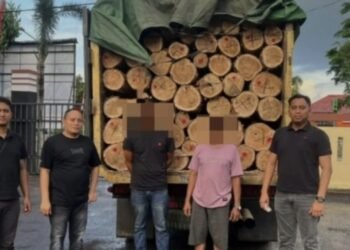 Polres Paser ungkap dua kasus tindak pidana illegal logging (Foto Humas Polres Paser)