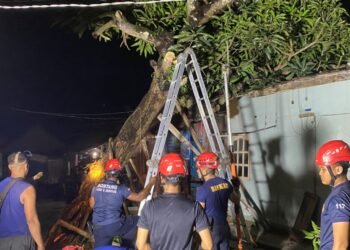 Damkar Bontang evakuasi pohon tumbang yang timpa rumah warga (Foto Ayb)