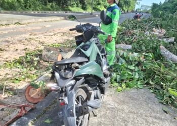 Kondisi motor korban akibat tertimpa pohon tumbang (Foto Ayb)