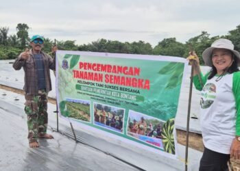 DKP3 Bontang memberikan bantuan pengembangan semangka kepada Kelompok Tani Sukses di Bontang Lestari (Foto Ayb)