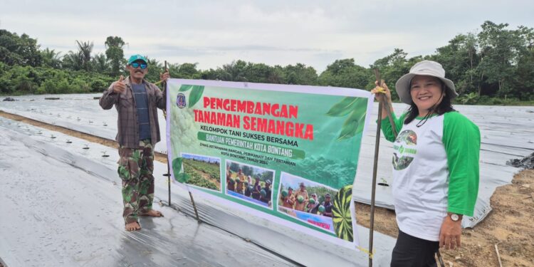 DKP3 Bontang memberikan bantuan pengembangan semangka kepada Kelompok Tani Sukses di Bontang Lestari (Foto Ayb)