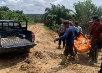 Seorang pria berinisial A (48), yang dikenal sebagai penjual pentol goreng, ditemukan meninggal dunia di pinggir jalan Kampung Melawan, RT 04, Dusun Danau Raya, Kecamatan Sangatta Selatan, Kutai Timur, Senin (17/2/2025) sekitar pukul 11.00 Wita (Foto Ist)