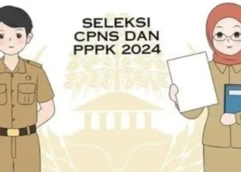 Ilustrasi CPNS dan PPPK (Ist)