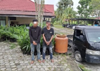 Polsek Marangkayu menangkap pelaku pencurian bibit sawit di Desa Santan Ulu, Kecamatan Marangkayu, Kabupaten Kutai Kartanegara (Ist)
