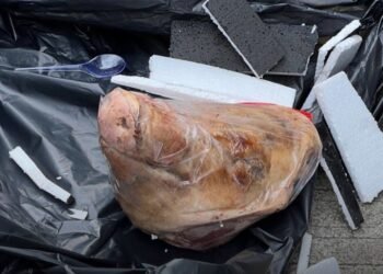 Pengiriman kepala babi ke kantor Tempo pada Kamis 20 Maret 2025 (Ist)