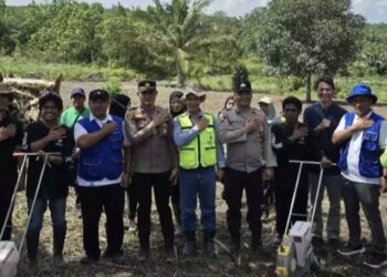 PT Pamapersada Nusantara Distrik INDO (PAMA INDO) berhasil melaksanakan panen perdana jagung pipil di Desa Teluk Pandan (Foto Ist)