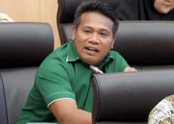 Anggota DPR RI Syafruddin (Ist)