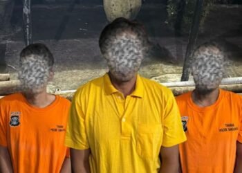 Tiga pelaku pencurian ditangkap