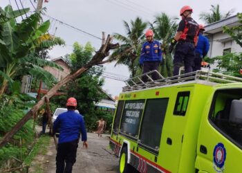 Tim Damkar Bontang evakuasi pohon yang timpa mobil. (Foto Damkar)