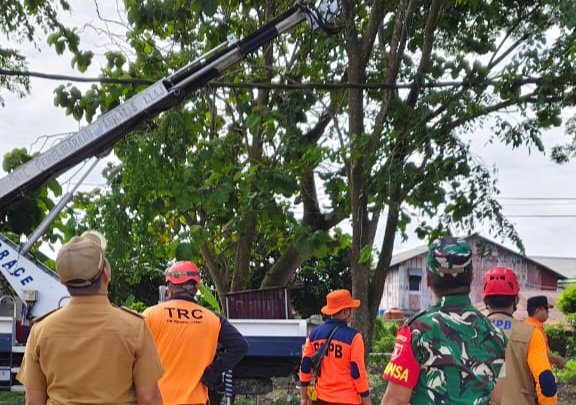 Pemangkasan Pohon Tim Gabungan