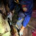 Rescue Damkar Amankan Cobra dari Rumah Warga
