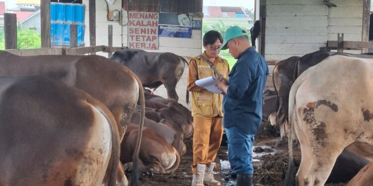 DKP3 Bontang lakukan pendataan hewan kurban jelang Raya Idul Adha 1446 Hijriah