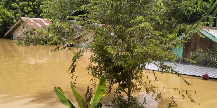 Kondisi rumah warga di Berau akibat banjir