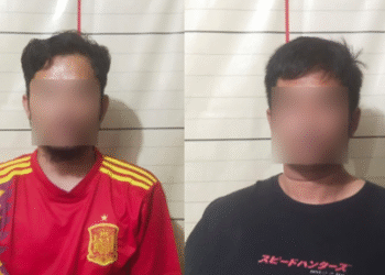 Dua pelaku pencuriaan diamankan polisi