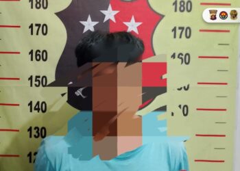 Pelaku Kasus Persetubuhan Anak di Bawah Umur