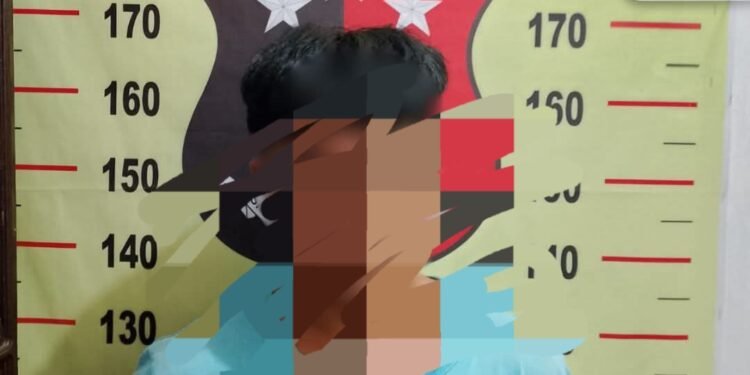 Pelaku Kasus Persetubuhan Anak di Bawah Umur