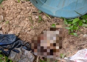 Sebuah kantong plastik berisi jenazah bayi ditemukan