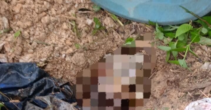 Sebuah kantong plastik berisi jenazah bayi ditemukan