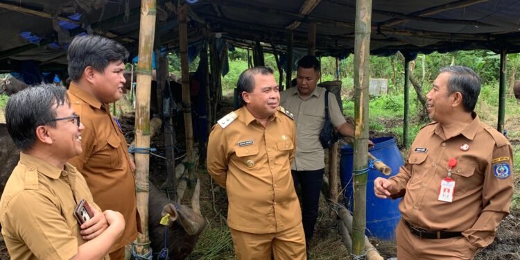 Wakil Wali Kota Bontang, Agus Haris, dan Kepala DKP3 Kota Bontang, Ahmad Aznem cek hewan qurban di lapangan