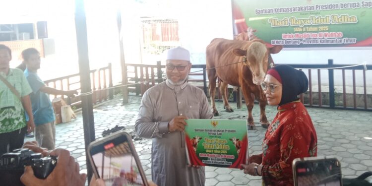 Wali Kota Bontang Serahkan Sapi Kurban Bantuan Presiden