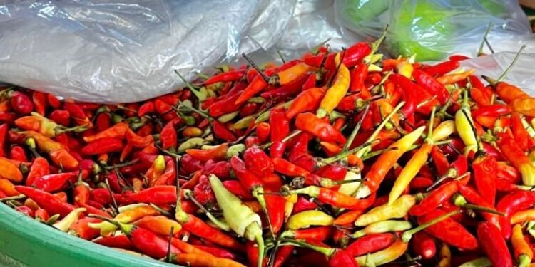Kondisi harga cabe di Kaltim