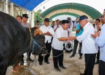 Kepala Otorita IKN, Basuki Hadimuljono, wakili Presiden Prabowo Serahkan Dua Sapi Kurban untuk Warga IKN