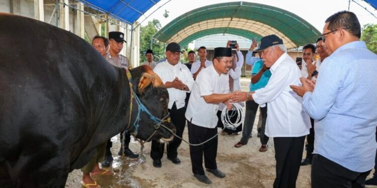 Kepala Otorita IKN, Basuki Hadimuljono, wakili Presiden Prabowo Serahkan Dua Sapi Kurban untuk Warga IKN