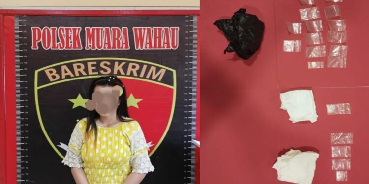 Polsek Muara Wahau Tangkap Wanita Pengedar Sabu di Desa Wanasari