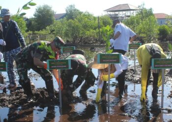 Peringati HUT Kodam VI/Mulawarman, TNI dan Warga Bontang Hijaukan Pantai dengan Mangrove