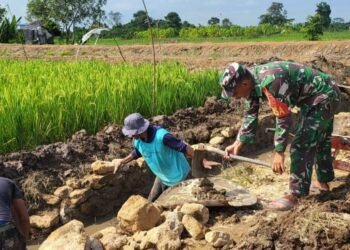 Babinsa Koramil 0908-03/Anggana, Kodim 0908/Bontang, Serka Heri K, membantu kerja bakti pembangunan saluran irigasi bersama warga