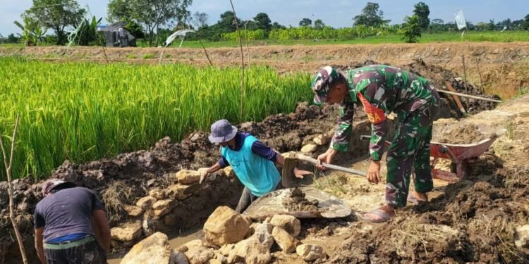 Babinsa Koramil 0908-03/Anggana, Kodim 0908/Bontang, Serka Heri K, membantu kerja bakti pembangunan saluran irigasi bersama warga