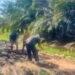 Babinsa Koramil 0908-02/Muara Badak Gotong Royong Perbaiki Jalan Desa