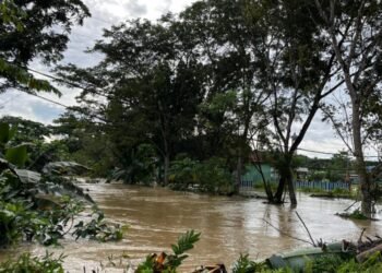 Kondisi Banjir di Kecamatan Sandaran Kutim