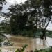 Kondisi Banjir di Kecamatan Sandaran Kutim