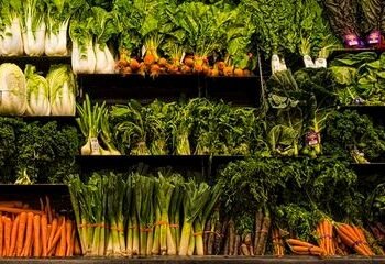 Deretan Sayuran Penurun Gula Darah, Solusi Sehat Bagi Penderita Diabetes