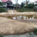 Warga Keluhkan Waduk Korpri Blok 2 yang Terbengkalai