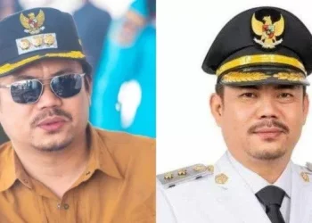 Bupati Kolaka Timur, Abdul Azis (Ist)