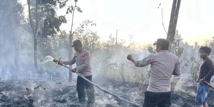 Kebakaran Hutan di Long Iram Berhasil Dipadamkan, 2 Hektar Lahan Terbakar