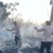 Kebakaran Hutan di Long Iram Berhasil Dipadamkan, 2 Hektar Lahan Terbakar
