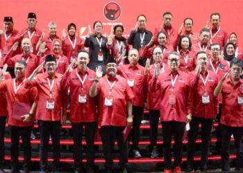 DPP PDIP 2025-2030 (ist)