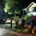 Pohon tumbang di Bontang di evakuasi