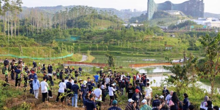Ratusan anggota Indonesian Diaspora Network (IDN) Global bekerja sama dengan Otorita Ibu Kota Nusantara (OIKN) menggelar aksi penanaman pohon di kawasan Embung MBH.