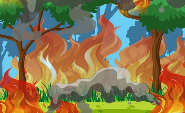 Ilustrasi kebakaran hutan. (Dok: blueringmedia)