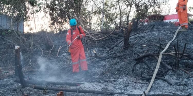 Ilustrasi kebakaran di Bontang